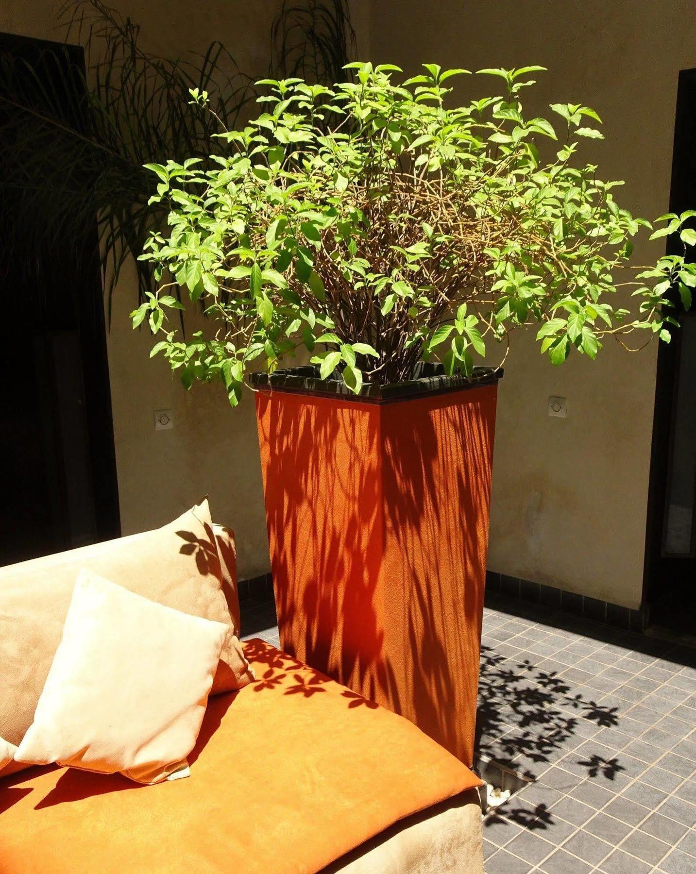 Riad Pierres Et Saveurs Soleil 마라케시 외부 사진