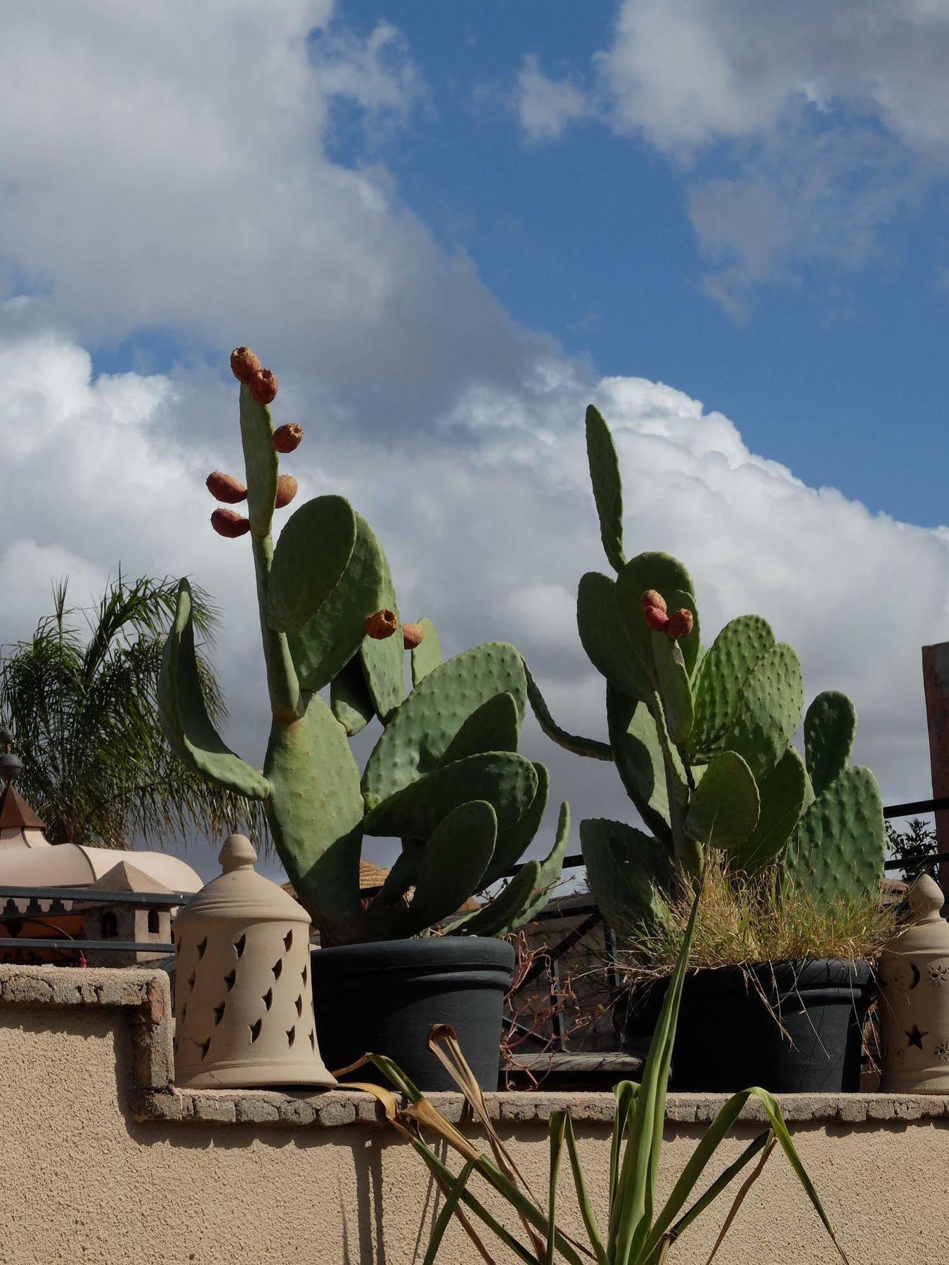 Riad Pierres Et Saveurs Soleil 마라케시 외부 사진